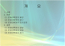 [중국문화] 문화대혁명 2페이지