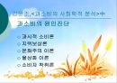 소비사회론 - 현대의 소비문화의 방향성 24페이지