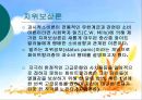 소비사회론 - 현대의 소비문화의 방향성 26페이지