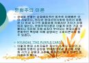 소비사회론 - 현대의 소비문화의 방향성 27페이지
