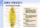 〔A+〕금연, 삶의 질을 바꾼다-ppt자료 5페이지