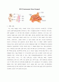 〔A+〕ESS (Endoscopic Sinus Surgery) 2페이지