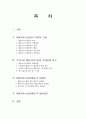 행정 서비스 헌장 논문. 2페이지