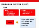 인도 네시아의 이해와 시장진출전략 18페이지
