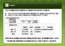 행정서비스 설문조사 24페이지