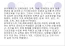[건축]근대 4대 건축 거장의 대하여 21페이지
