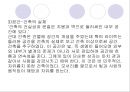 [건축]근대 4대 건축 거장의 대하여 27페이지