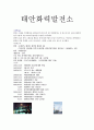 [기업분석] 환경경영 기업의 사례 분석 - 태안화력발전소 1페이지