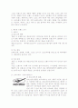 스포츠용품 브랜드조사 3페이지