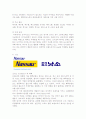스포츠용품 브랜드조사 5페이지