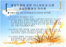 아스피린(Aspirin) 6페이지