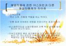 아스피린(Aspirin) 7페이지