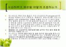 아스피린(Aspirin) 12페이지