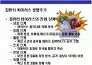 컴퓨터 바이러스(computer virus)의 이해 12페이지