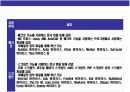 컴퓨터 바이러스(computer virus)의 이해 20페이지