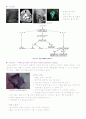 성인간호학 외과병동 - Thyroid cancer case study 6페이지