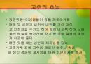 한국의 음식문화 29페이지