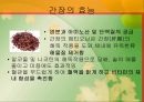 한국의 음식문화 35페이지