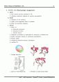 [물리치료]관절염의 재활[ Rehabilitation of Arthritis ] 15페이지