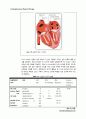 심호흡계 물리치료 (Cardiopulmonary Physical Therapy) 7페이지