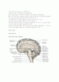[문헌고찰]hydrocephalus뇌수종(수두증)+Intracerebral hemorrhage(뇌내출혈) 2페이지
