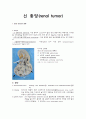 신장암 (RCC, renal cell cancer)에 대한 레포트  1페이지