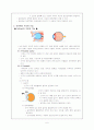   이비인후과&안과계의 구조와 기능  5페이지