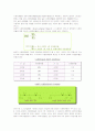 BCG 매트릭스 2페이지