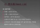 휠체어의 구조와 종류 29페이지