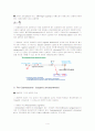 [A+ 레포트] 세균의 광합성 (Oxygenic photosynthesis and Anoxygenic photosynthesis) 4페이지