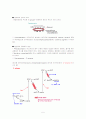 [A+ 레포트] 세균의 광합성 (Oxygenic photosynthesis and Anoxygenic photosynthesis) 5페이지