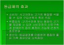 [축산식품학] 축산물등급판정소에 대하여 6페이지