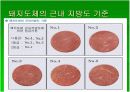 [축산식품학] 축산물등급판정소에 대하여 16페이지