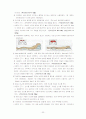 만성폐쇄성폐질환 대상자에 대한 간호사례연구 22페이지