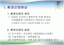 환경오염 - 수질오염을 중심으로 2페이지