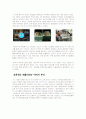 닌텐도 DS의 성공요인 분석 및 앞으로의 발전방안 19페이지