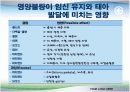 임신기 영양관리 ppt자료 (임산부 영양관리) 18페이지
