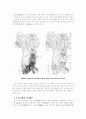창덕궁(昌德宮)과 비원(秘苑) 3페이지