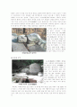 창덕궁(昌德宮)과 비원(秘苑) 11페이지