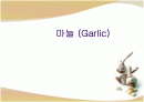마늘(Garlic) 1페이지