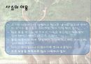 사슴과 녹용 18페이지
