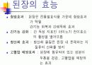 발효식품과건강 11페이지