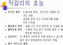발효식품과건강 17페이지