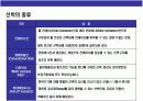 해상운송의 이해 5페이지