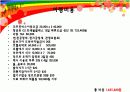  관광자 욕구분석 및 관광상품 개발 19페이지