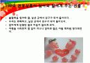  관광자 욕구분석 및 관광상품 개발 20페이지