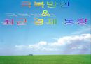 일본 잃어버린10년과 향후대책 31페이지