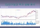 현대자동차 기업(재무관리)분석 레포트 34페이지