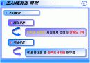 LG 싸이언 고객의 브랜드충성도 강화요인분석  3페이지