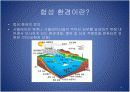 디지털 생산 시뮬레이션과 합성 환경의 매핑(sedris) 4페이지